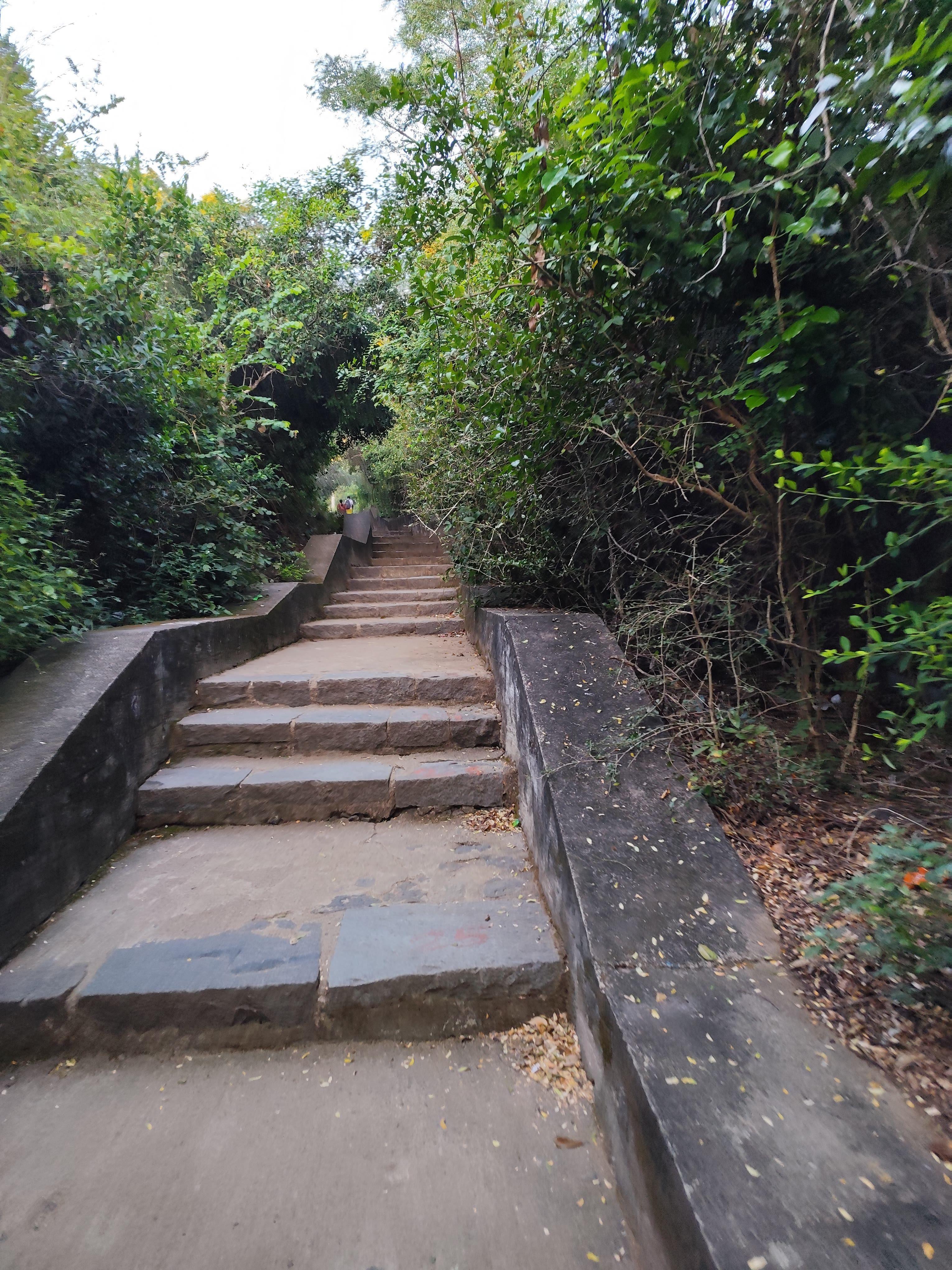 steps